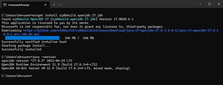 Installing and testing Java JDK