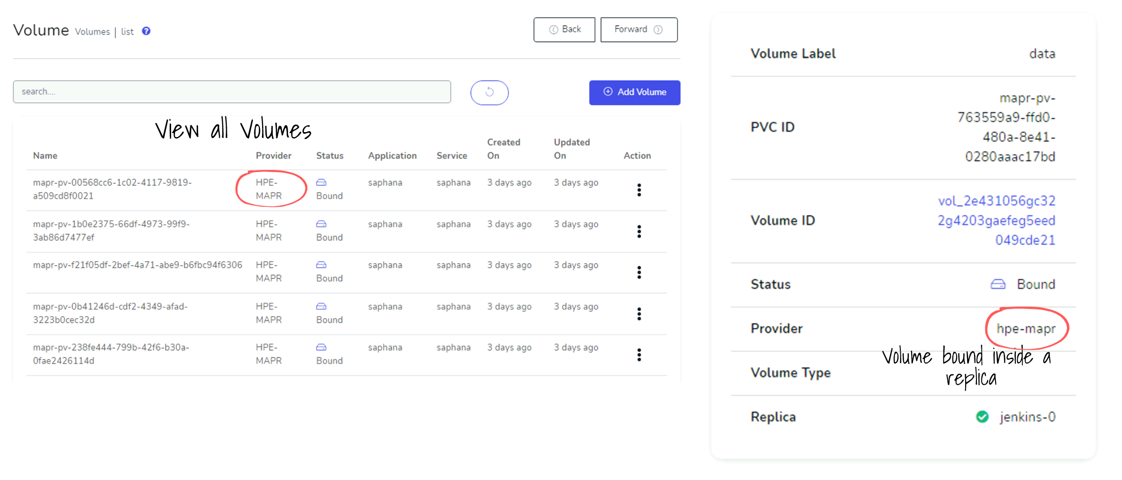 gopaddle dashboard for volumes