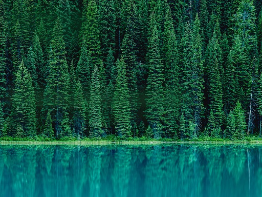 Curate and expose catalog items using the HPE GreenLake Service Catalog persona view