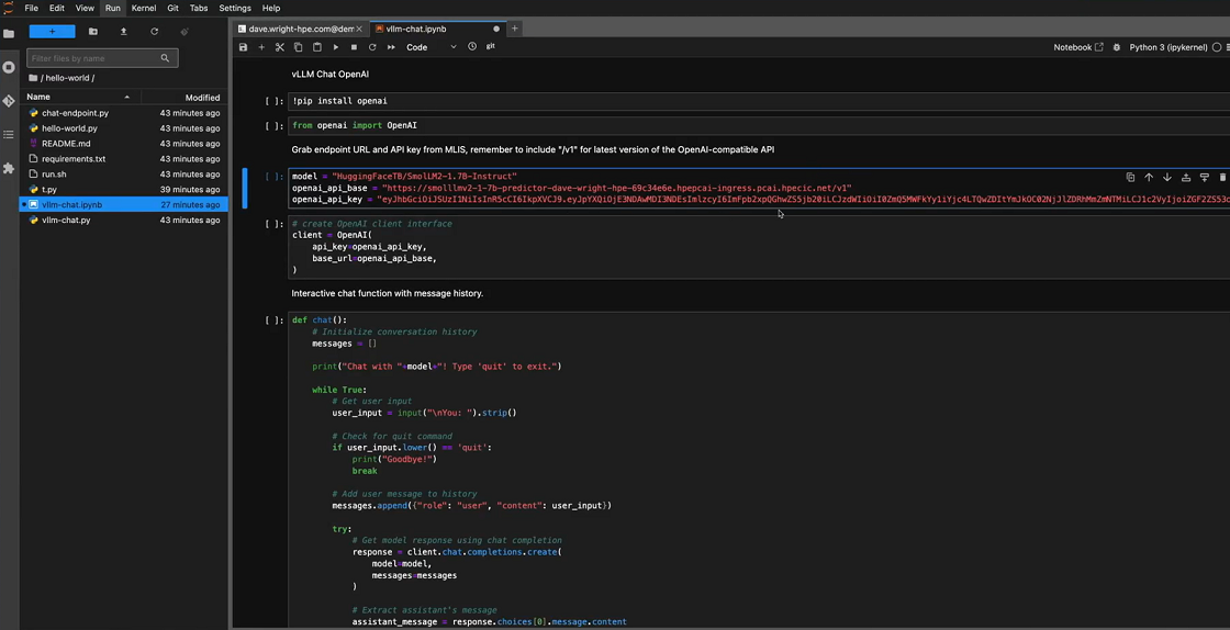 Jupyter Notebook showing imported model endpoint and API key.
